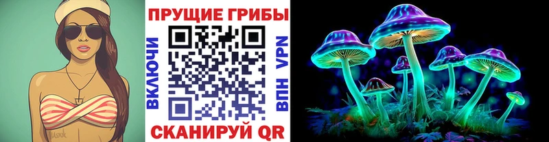 наркотики  Светогорск  Галлюциногенные грибы мухоморы 